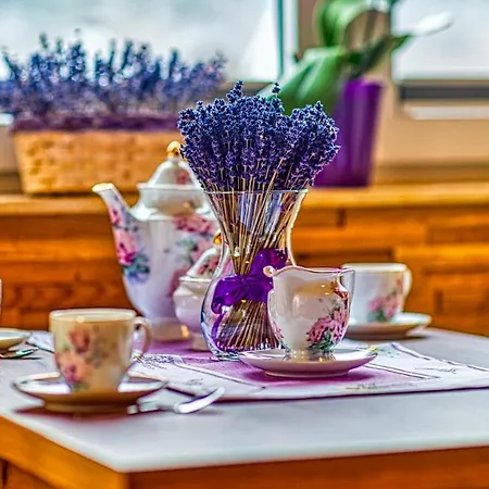 Apartament Lawendowy Relaks Z Sauną - 5d Apartament Świeradów-Zdrój